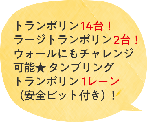 トランポリン14台！ラージトランポリン2台！ウォールにもチャレンジ可能★ タンブリングトランポリン1レーン（安全ピット付き）！
