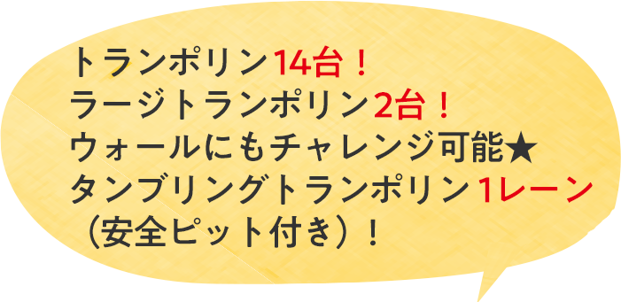 トランポリン14台！ラージトランポリン2台！ウォールにもチャレンジ可能★ タンブリングトランポリン1レーン（安全ピット付き）！